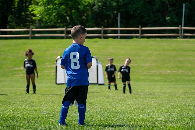 官方：CCTV5转播海港客战英博，CCTV5+转播申花客战津门虎